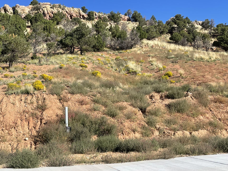 1937 N Pinyon Grove CIR, Cedar City