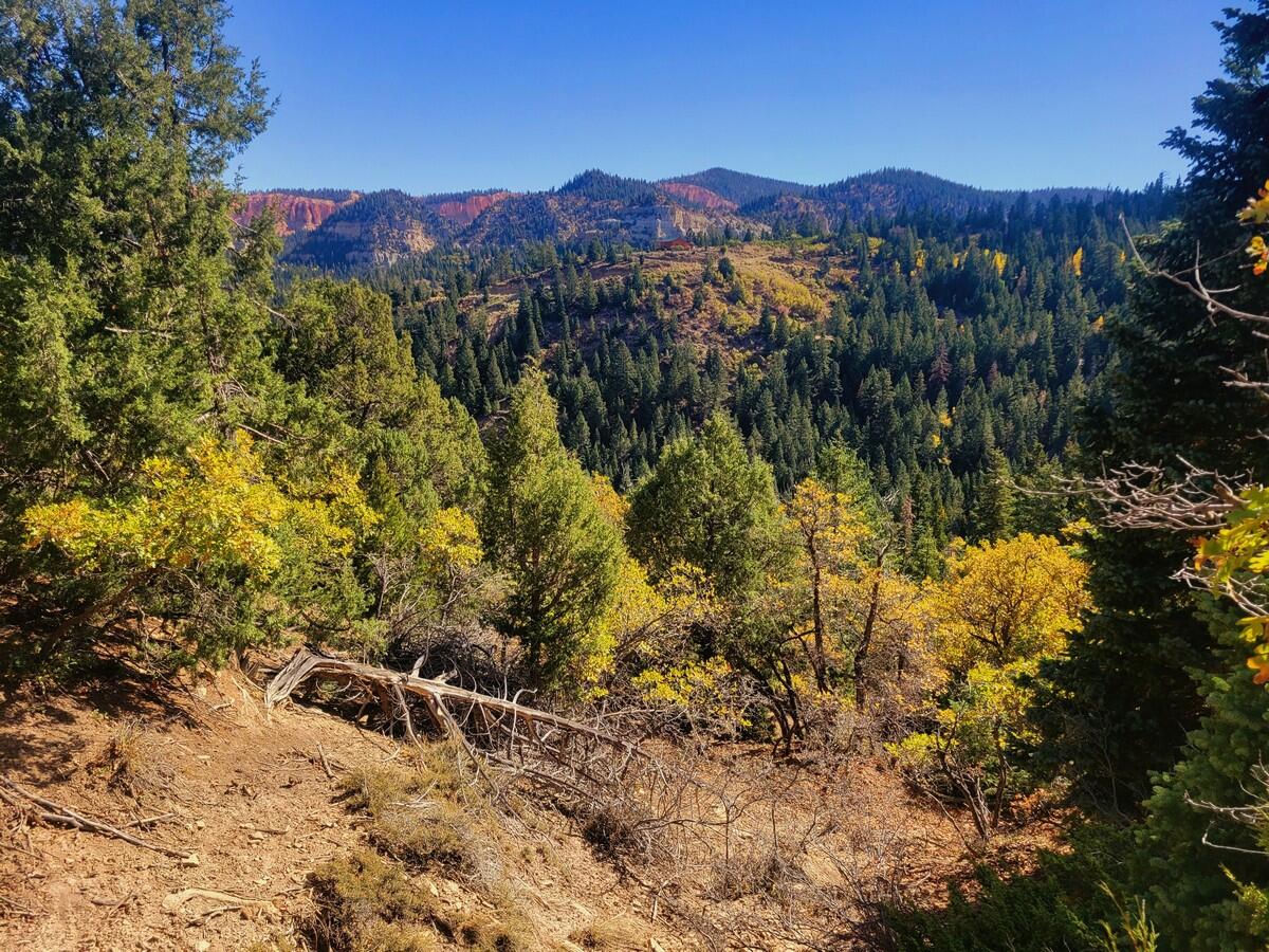 Lot 22 Bonnie Green DR, Duck Creek Village, photo 1