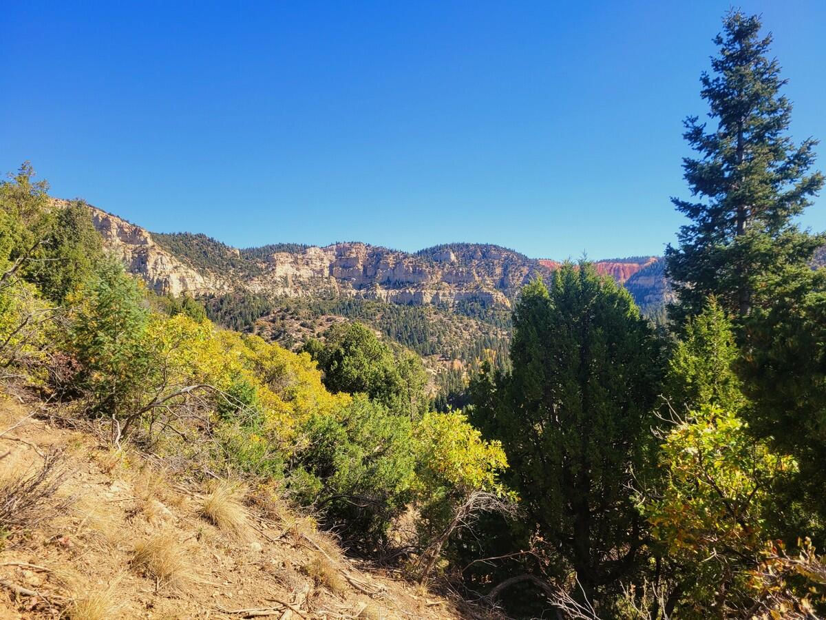 Lot 22 Bonnie Green DR, Duck Creek Village, photo 2 of 10