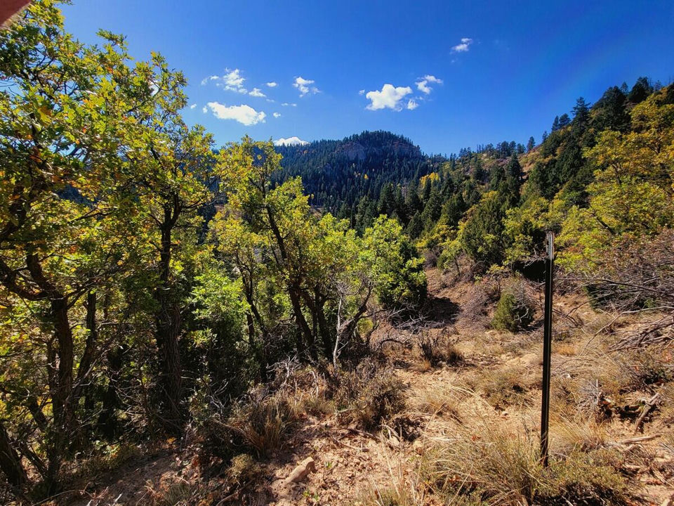 Lot 22 Bonnie Green DR, Duck Creek Village, photo 3