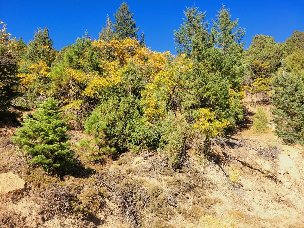 Lot 22 Bonnie Green DR, Duck Creek Village, photo 4 of 10