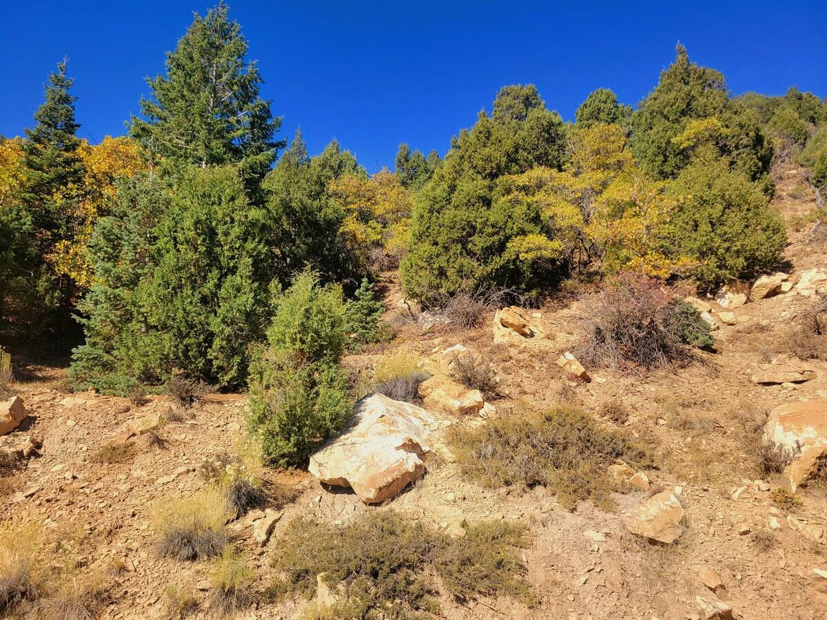 Lot 22 Bonnie Green DR, Duck Creek Village, photo 5 of 10