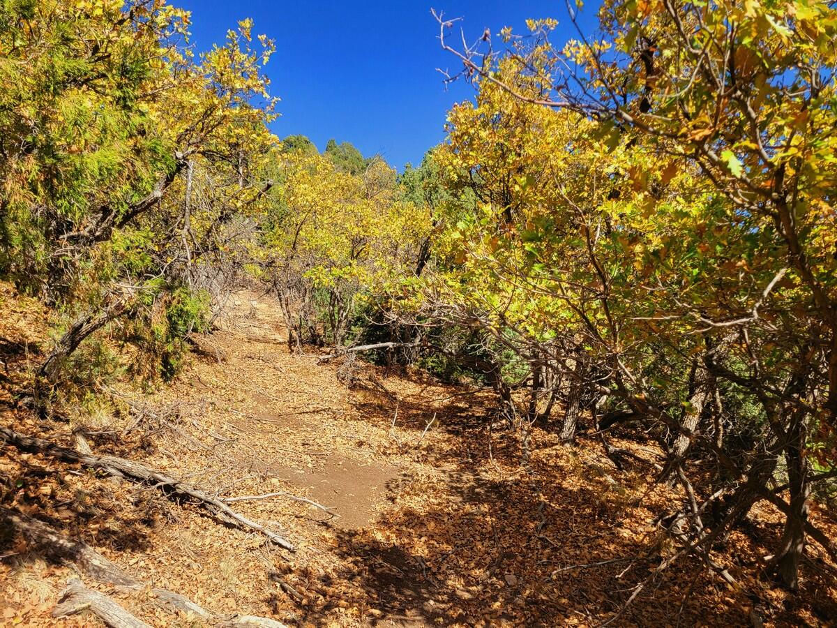 Lot 22 Bonnie Green DR, Duck Creek Village, photo 7 of 10