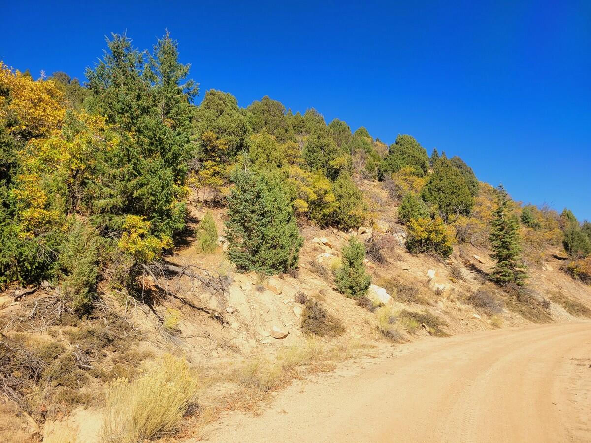 Lot 22 Bonnie Green DR, Duck Creek Village, photo 9 of 10