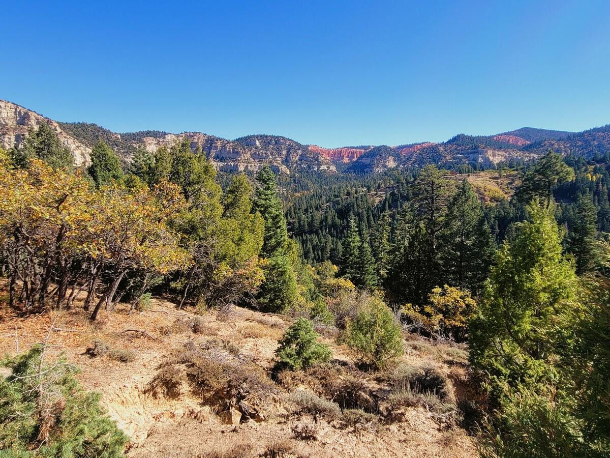 Lot 18 White Sands Loop, Duck Creek Village, photo 1