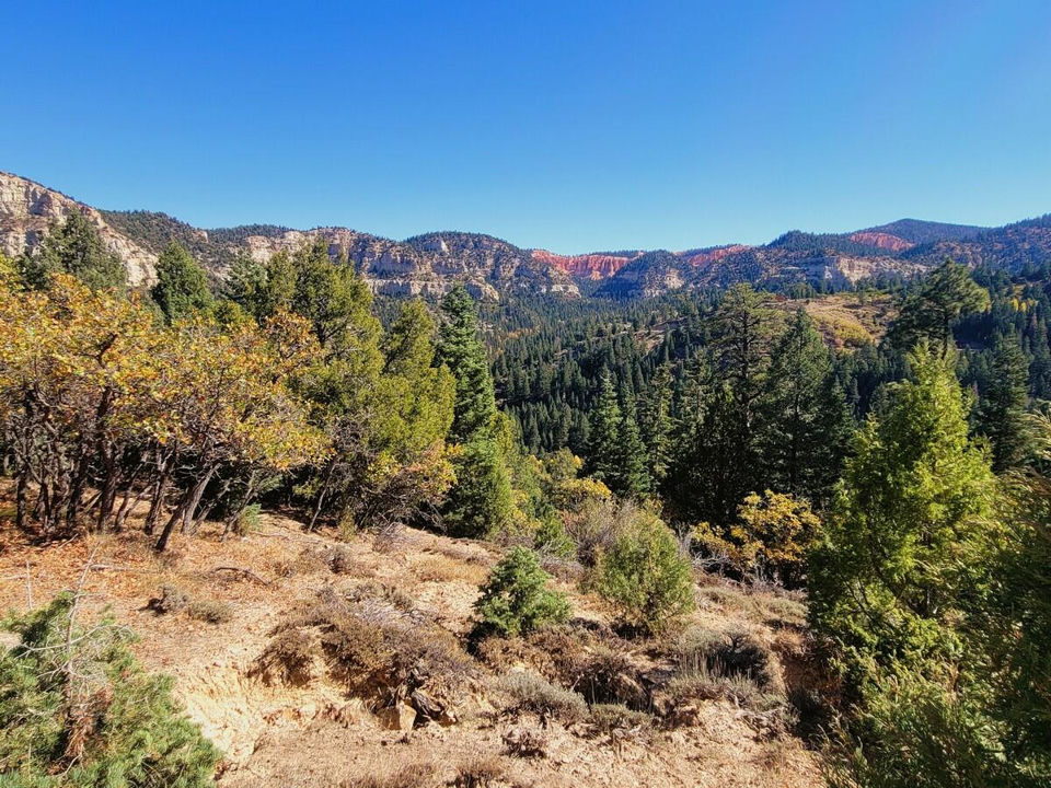 Lot 18 White Sands Loop, Duck Creek Village