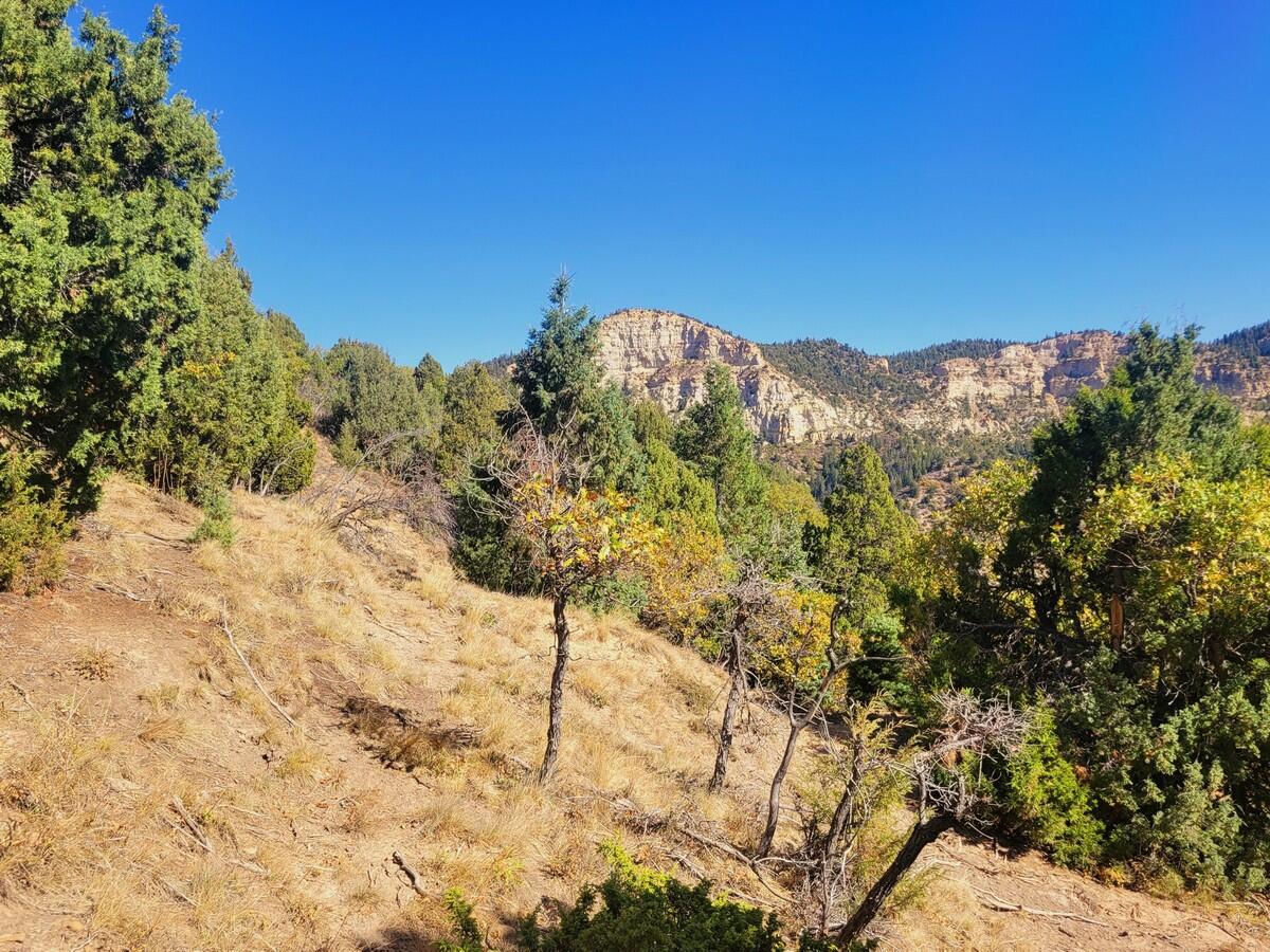 Lot 18 White Sands Loop, Duck Creek Village, photo 2 of 9