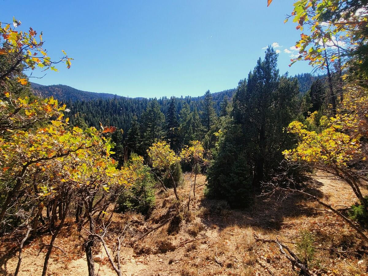Lot 18 White Sands Loop, Duck Creek Village, photo 3 of 9
