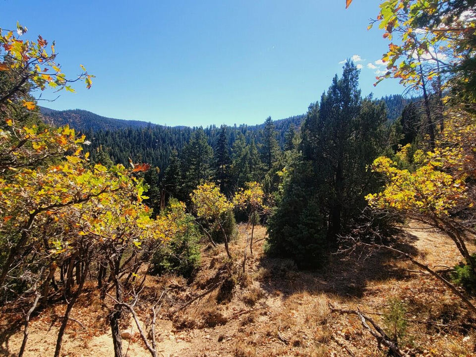 Lot 18 White Sands Loop, Duck Creek Village, photo 3