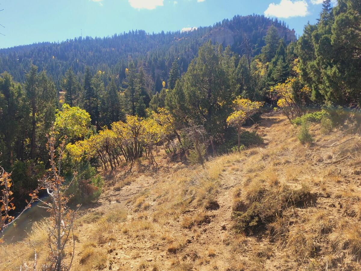 Lot 18 White Sands Loop, Duck Creek Village, photo 4 of 9