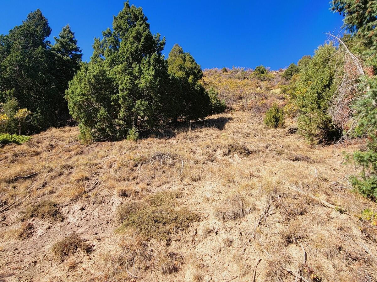 Lot 18 White Sands Loop, Duck Creek Village, photo 5 of 9