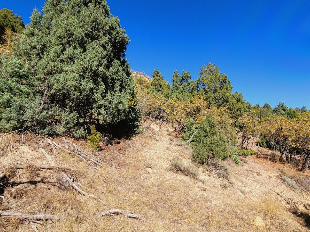 Lot 18 White Sands Loop, Duck Creek Village, photo 6 of 9
