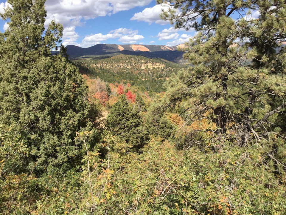 914.95 AC County Rd 89W7, Duck Creek Village