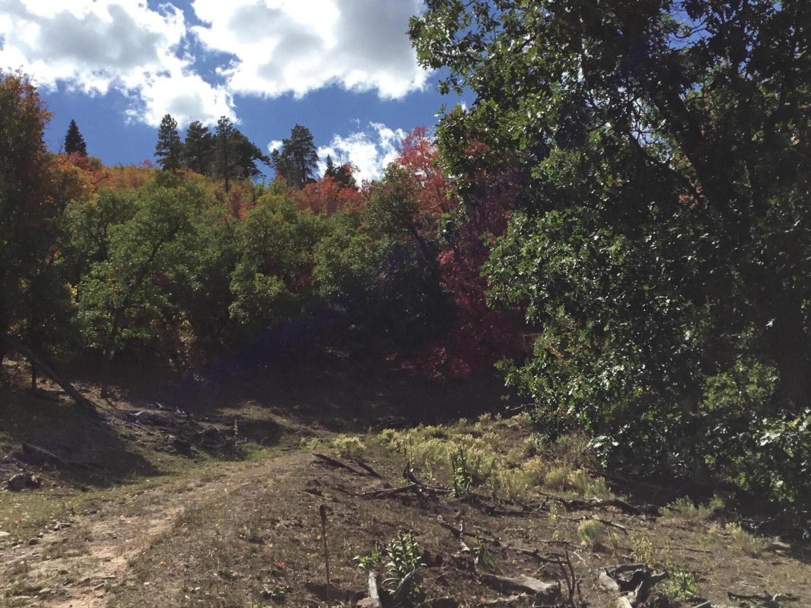 914.95 AC County Rd 89W7, Duck Creek Village, photo 7 of 39