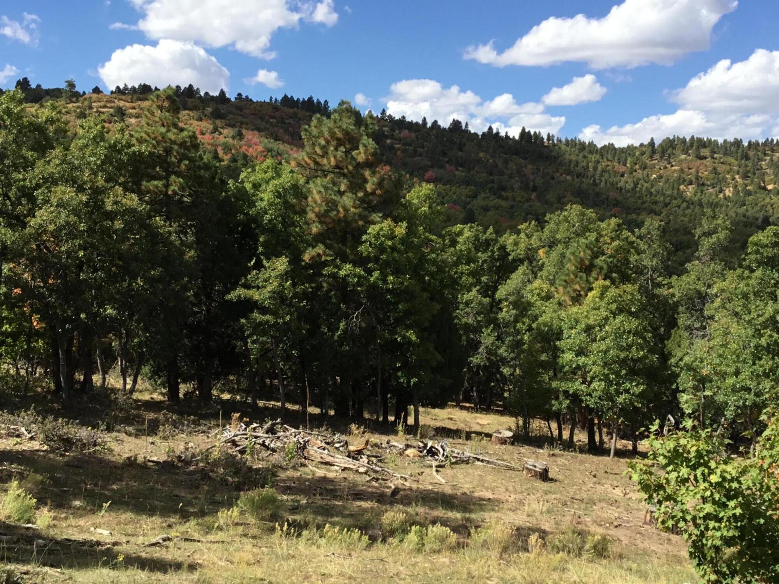 914.95 AC County Rd 89W7, Duck Creek Village, photo 8 of 39