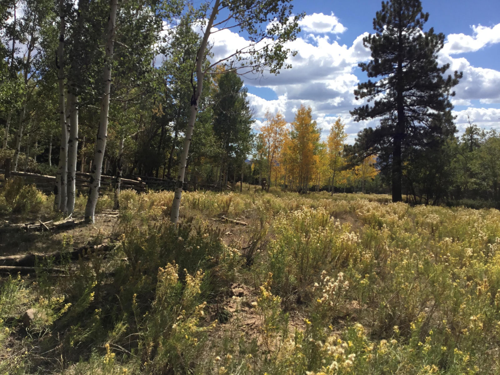914.95 AC County Rd 89W7, Duck Creek Village, photo 38 of 39