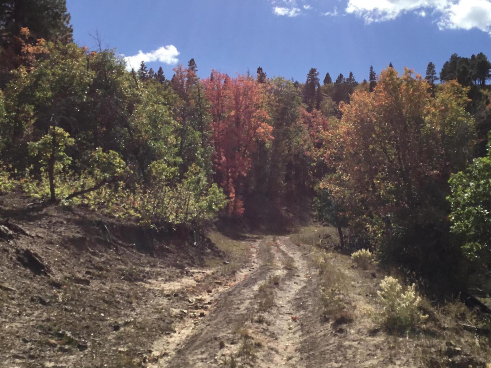 914.95 AC County Rd 89W7, Duck Creek Village, photo 9 of 39