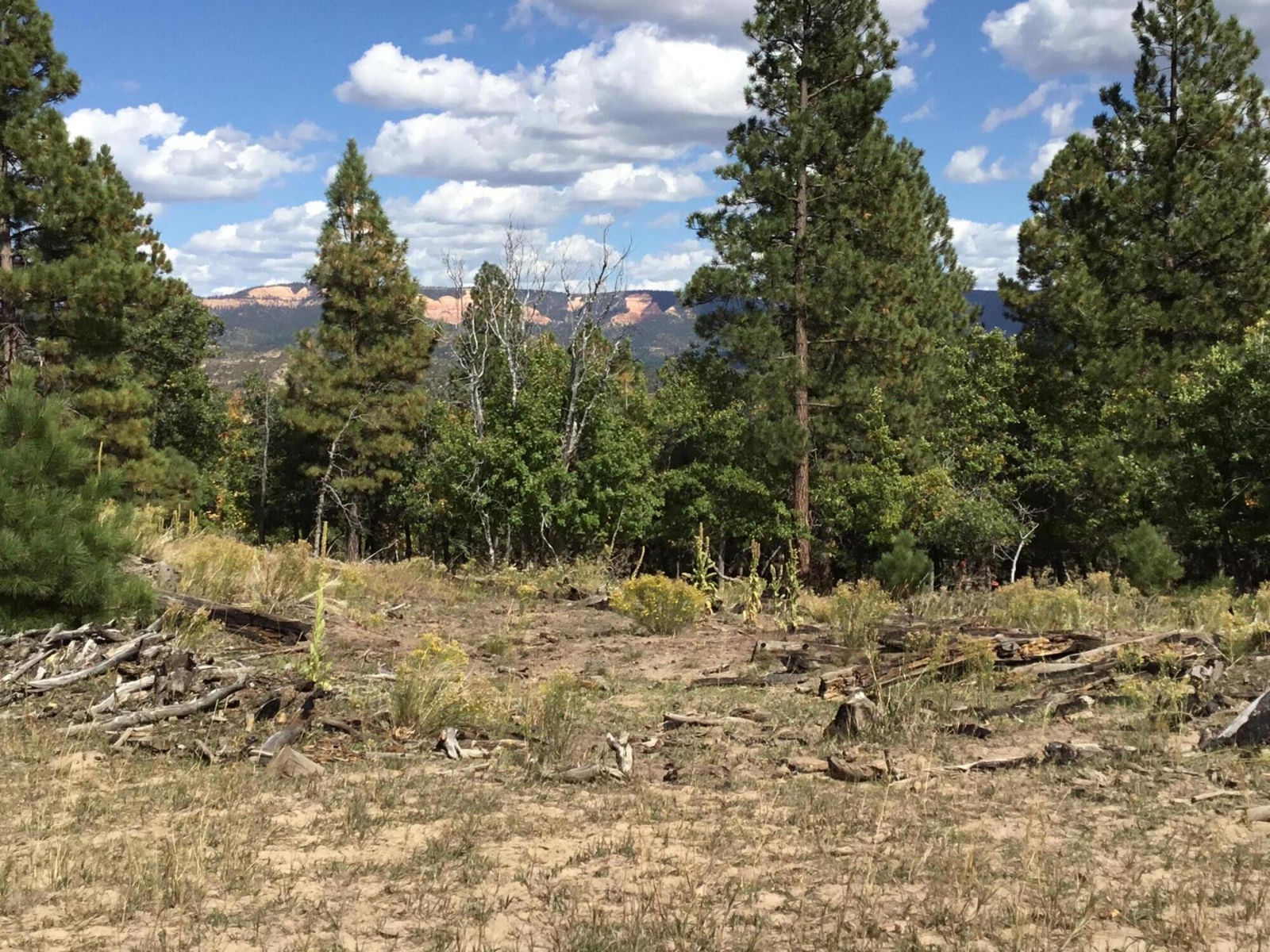 914.95 AC County Rd 89W7, Duck Creek Village, photo 10 of 39