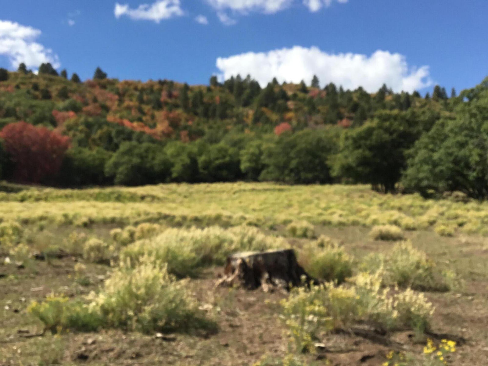 914.95 AC County Rd 89W7, Duck Creek Village, photo 11 of 39