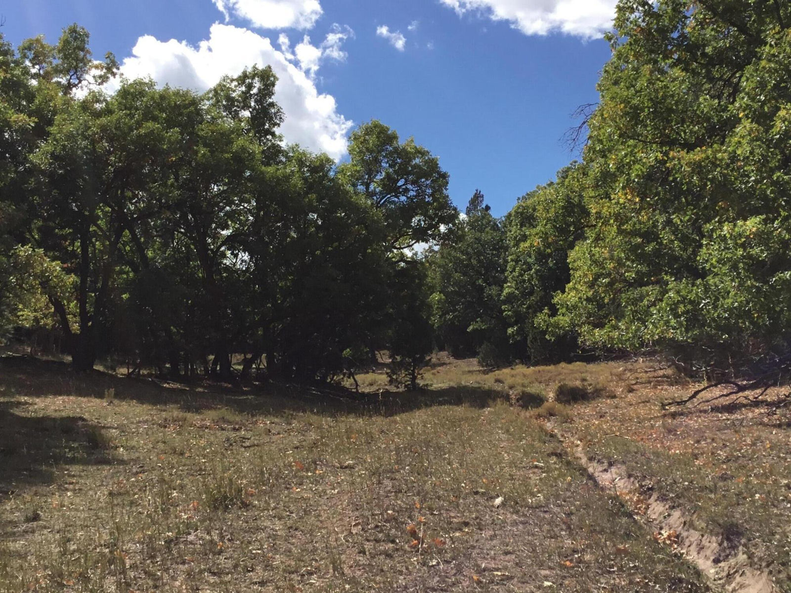 914.95 AC County Rd 89W7, Duck Creek Village, photo 13 of 39