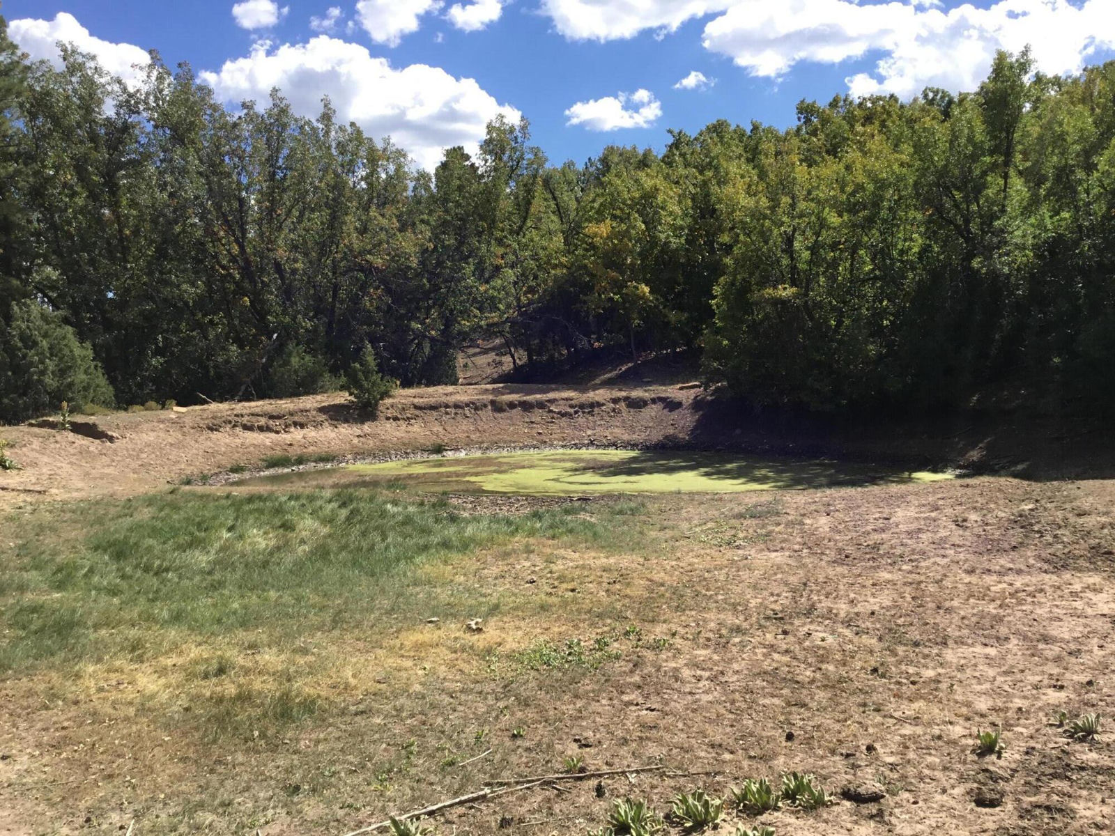 914.95 AC County Rd 89W7, Duck Creek Village, photo 15 of 39