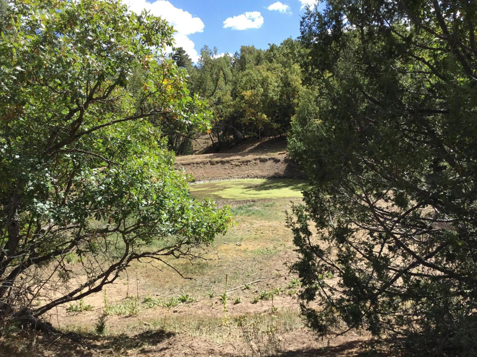 914.95 AC County Rd 89W7, Duck Creek Village, photo 16 of 39