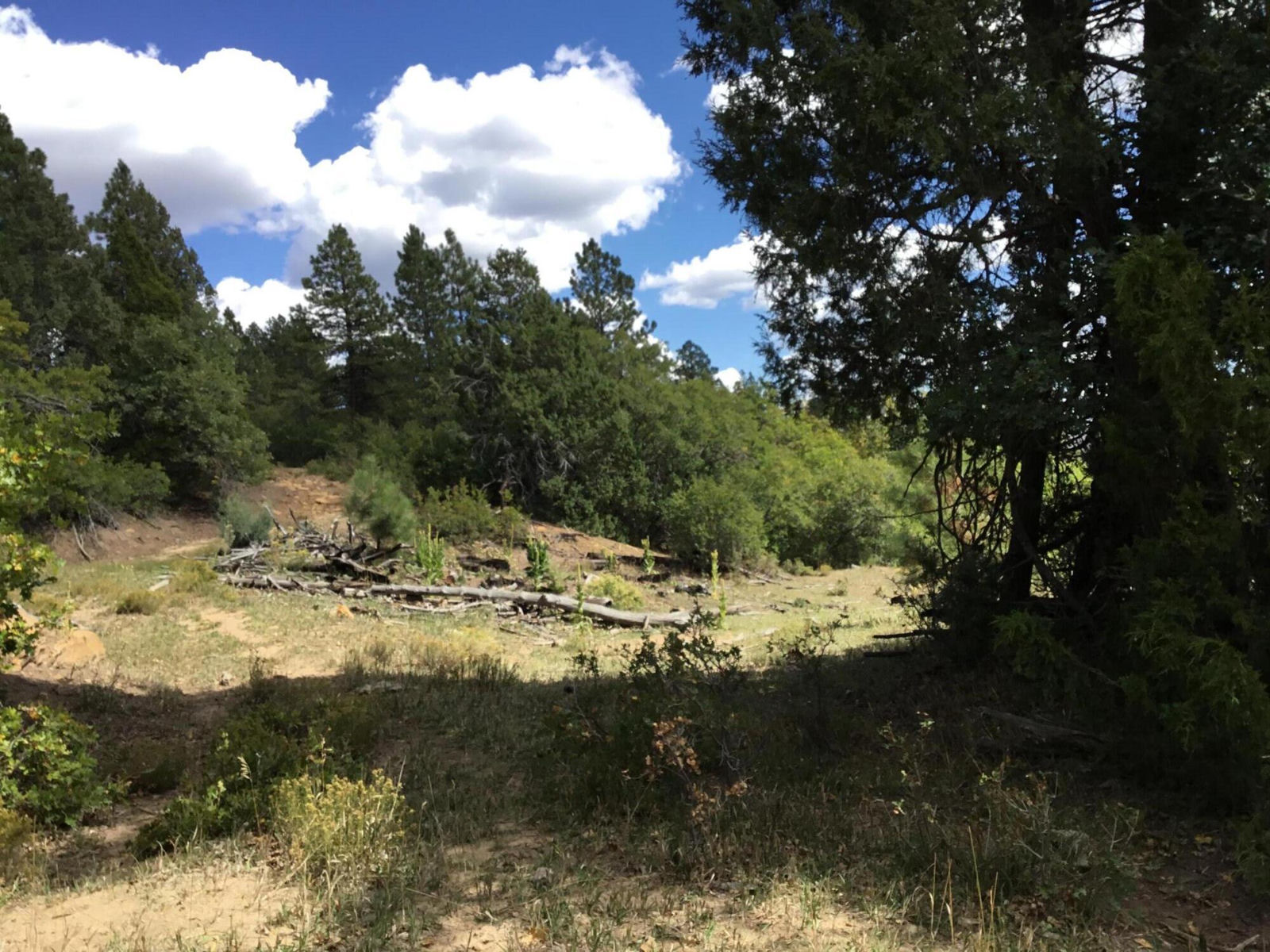 914.95 AC County Rd 89W7, Duck Creek Village, photo 17 of 39
