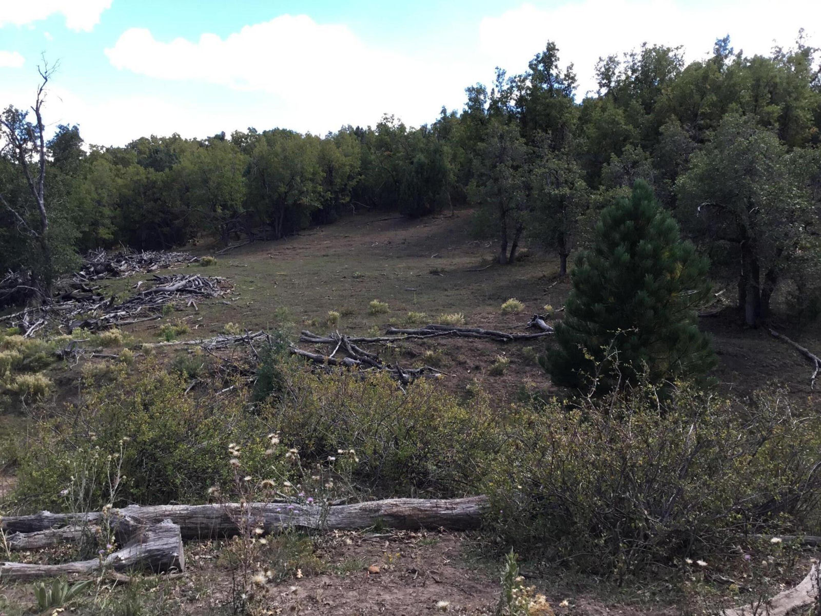 914.95 AC County Rd 89W7, Duck Creek Village, photo 18 of 39