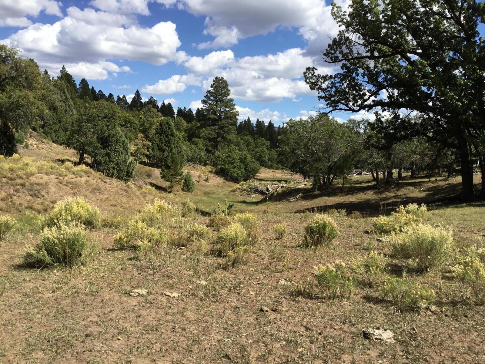 914.95 AC County Rd 89W7, Duck Creek Village, photo 19 of 39