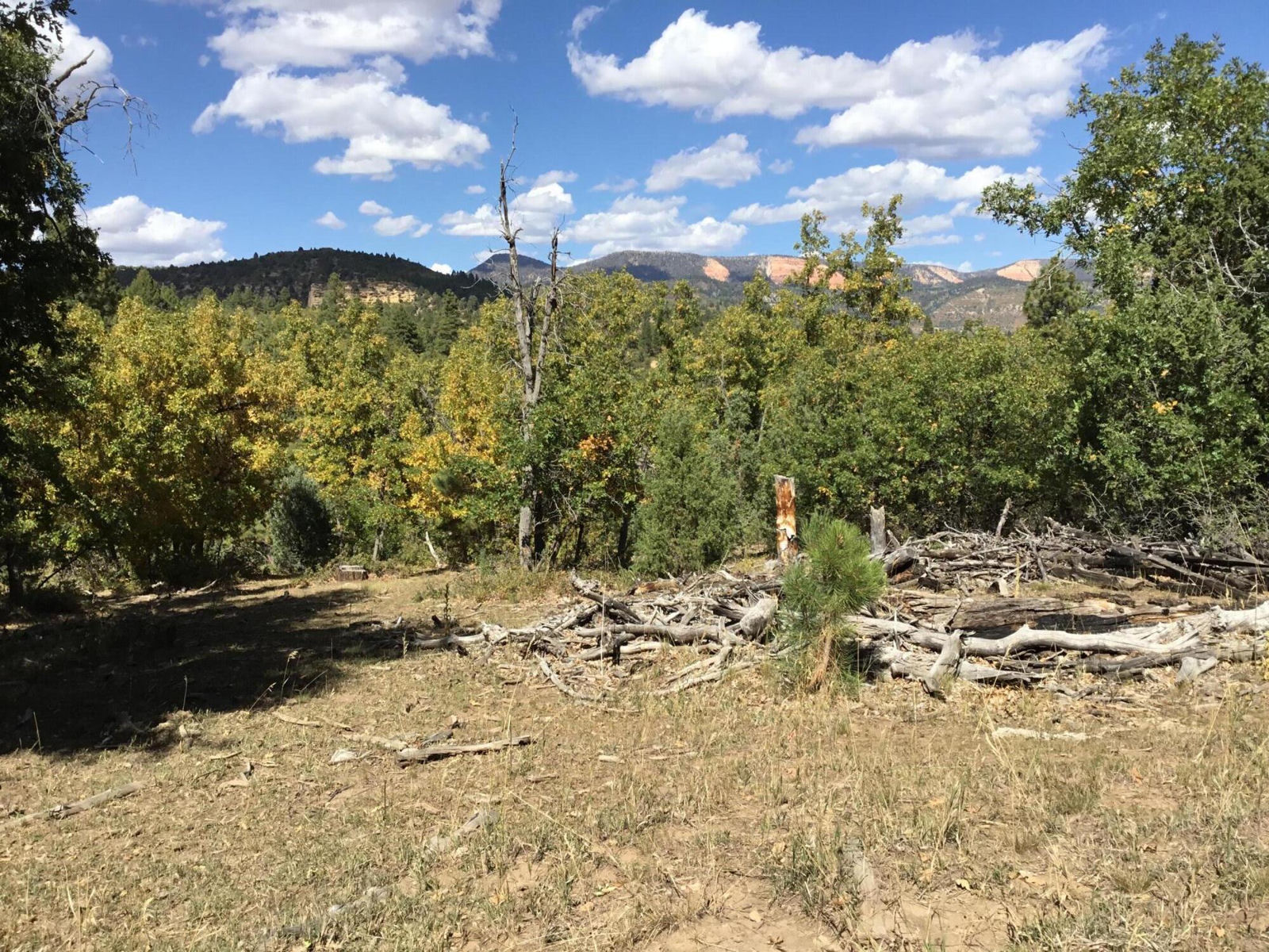 914.95 AC County Rd 89W7, Duck Creek Village, photo 21 of 39