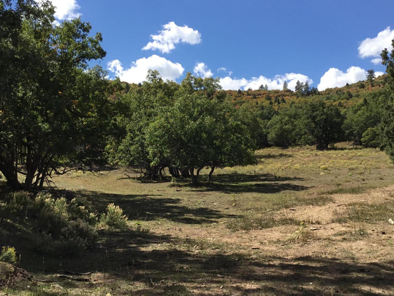 914.95 AC County Rd 89W7, Duck Creek Village, photo 26 of 39