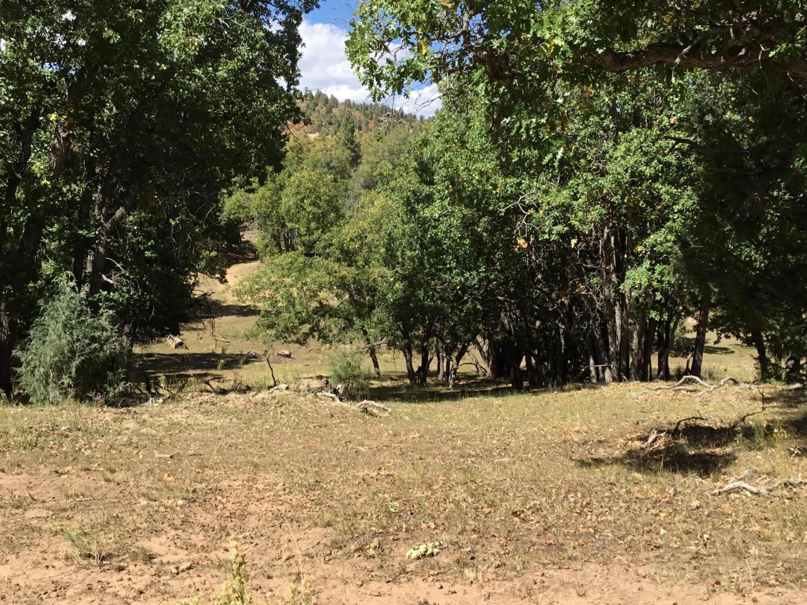 914.95 AC County Rd 89W7, Duck Creek Village, photo 39 of 39