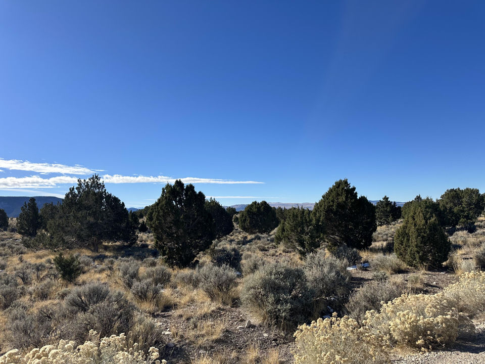First Springs Road, Beaver
