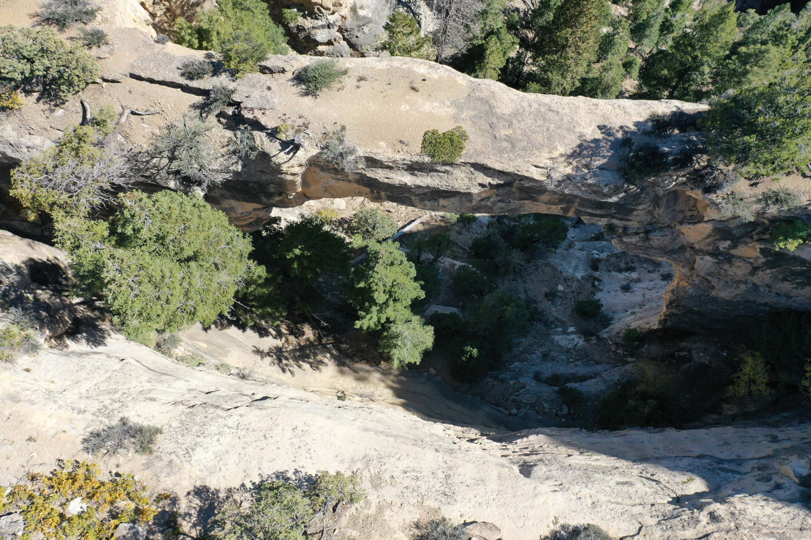 Cedar Mountain Ashdown Gorge, Cedar City, photo 9 of 26