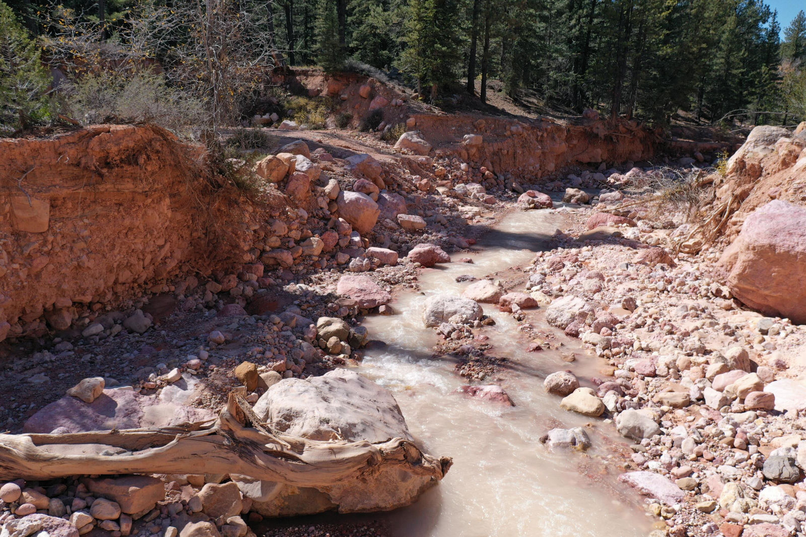 Cedar Mountain Ashdown Gorge, Cedar City, photo 10 of 26