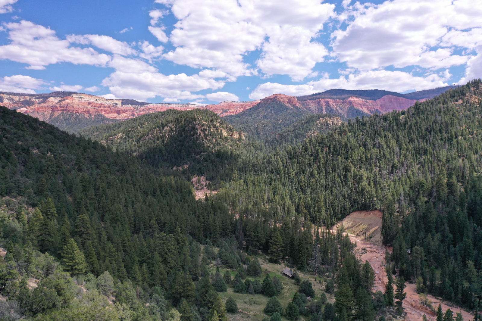 Cedar Mountain Ashdown Gorge, Cedar City, photo 15 of 26
