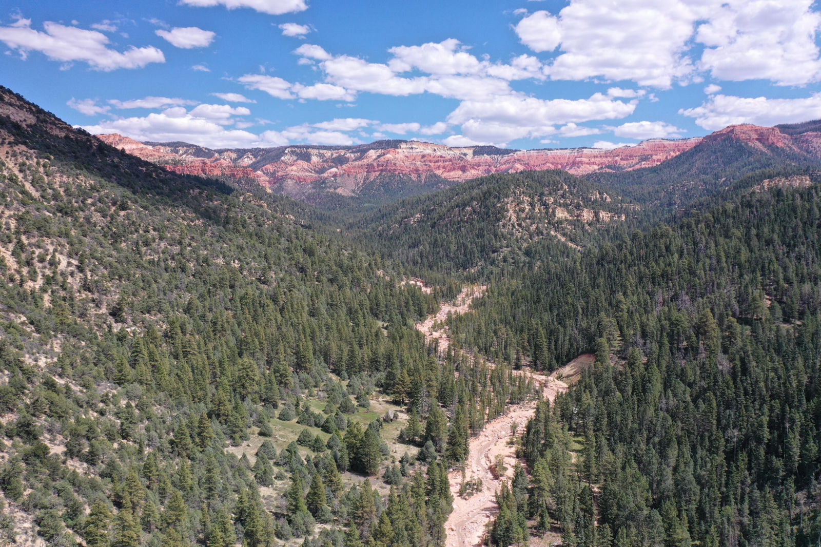 Cedar Mountain Ashdown Gorge, Cedar City, photo 20 of 26