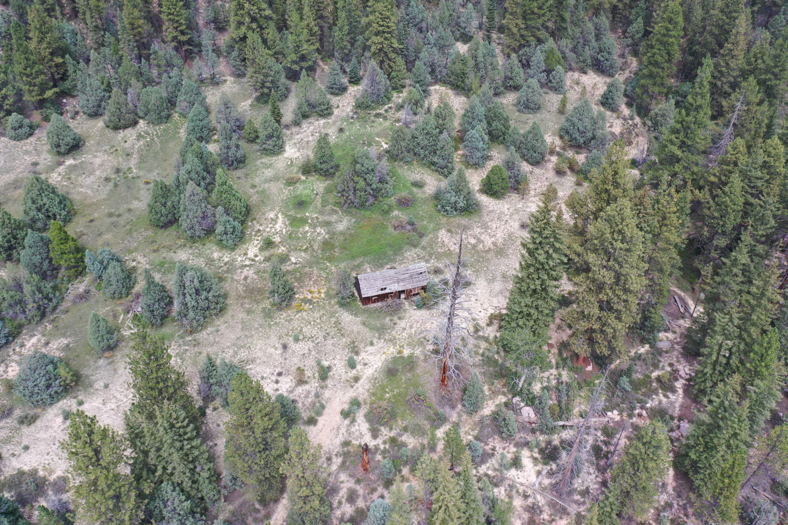 Cedar Mountain Ashdown Gorge, Cedar City, photo 21 of 26
