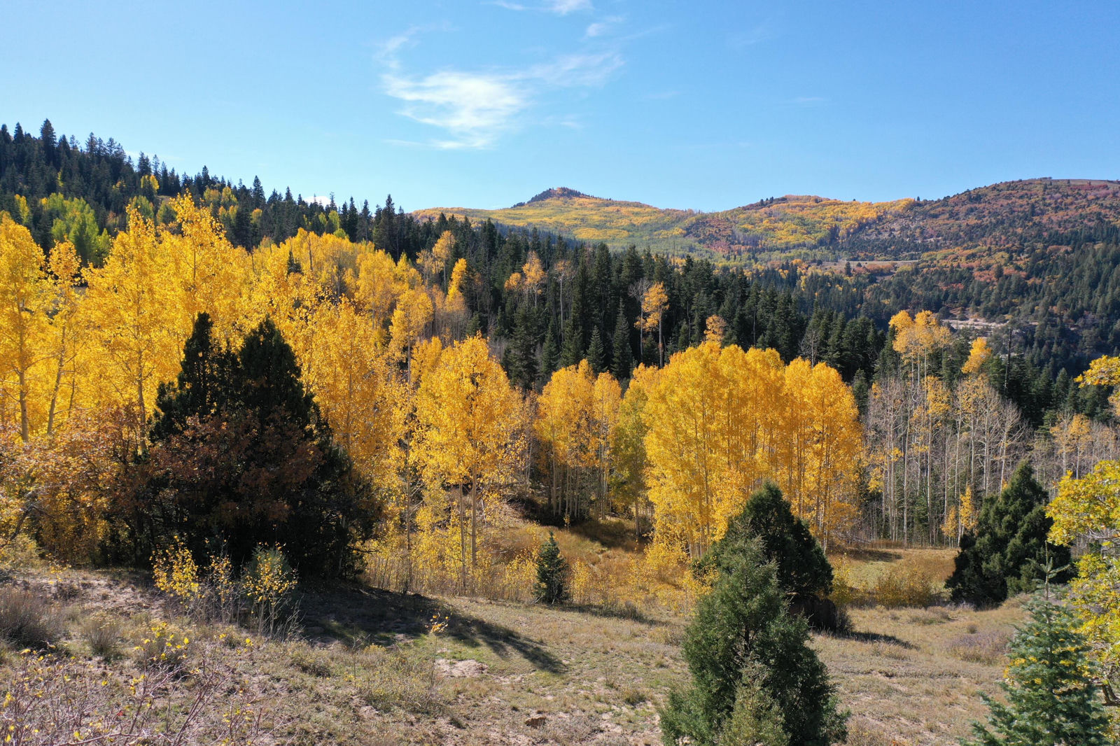 Cedar Mountain Ashdown Gorge, Cedar City, photo 22 of 26