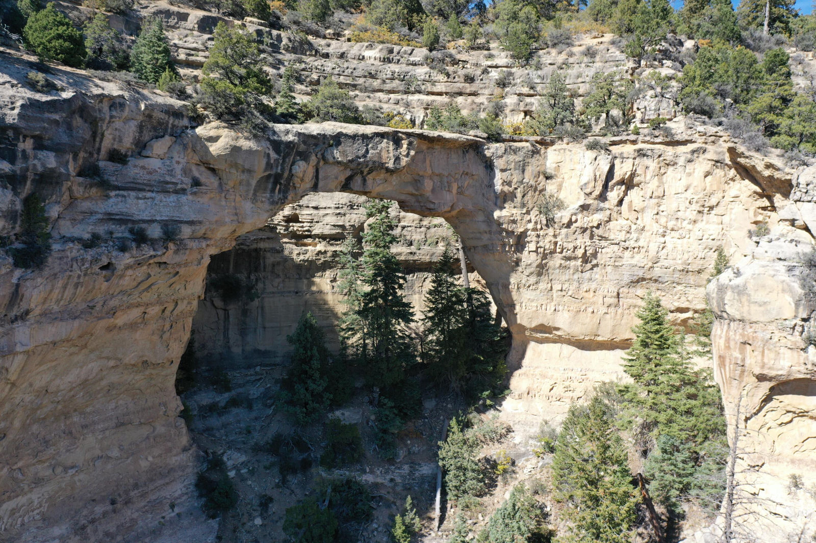 Cedar Mountain Ashdown Gorge, Cedar City, photo 23 of 26