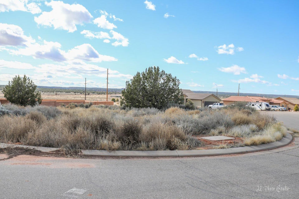 Null Manzanita DR, Apple Valley, photo 3