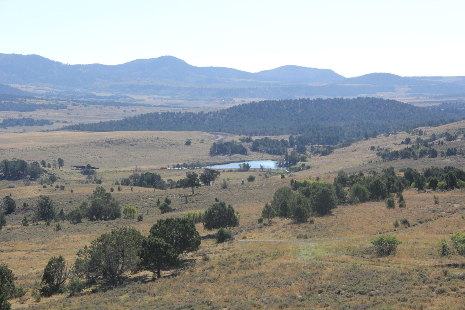 20.22 acres, Alton, photo 8 of 24