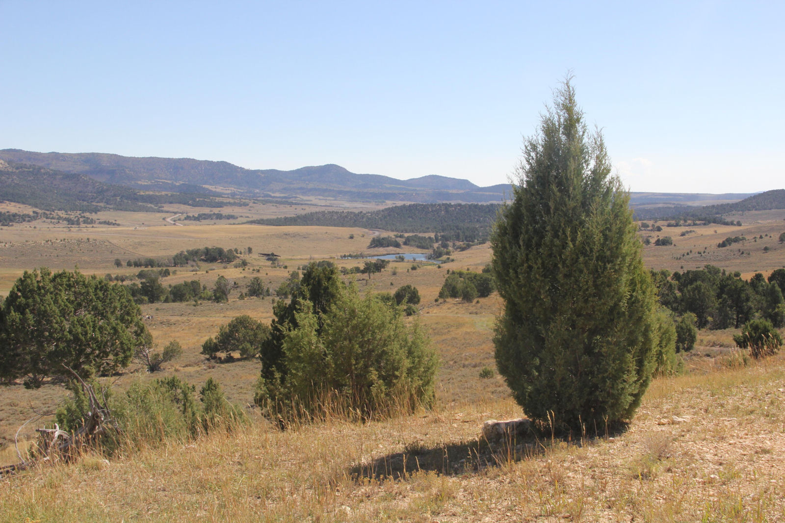 20.22 acres, Alton, photo 17 of 24