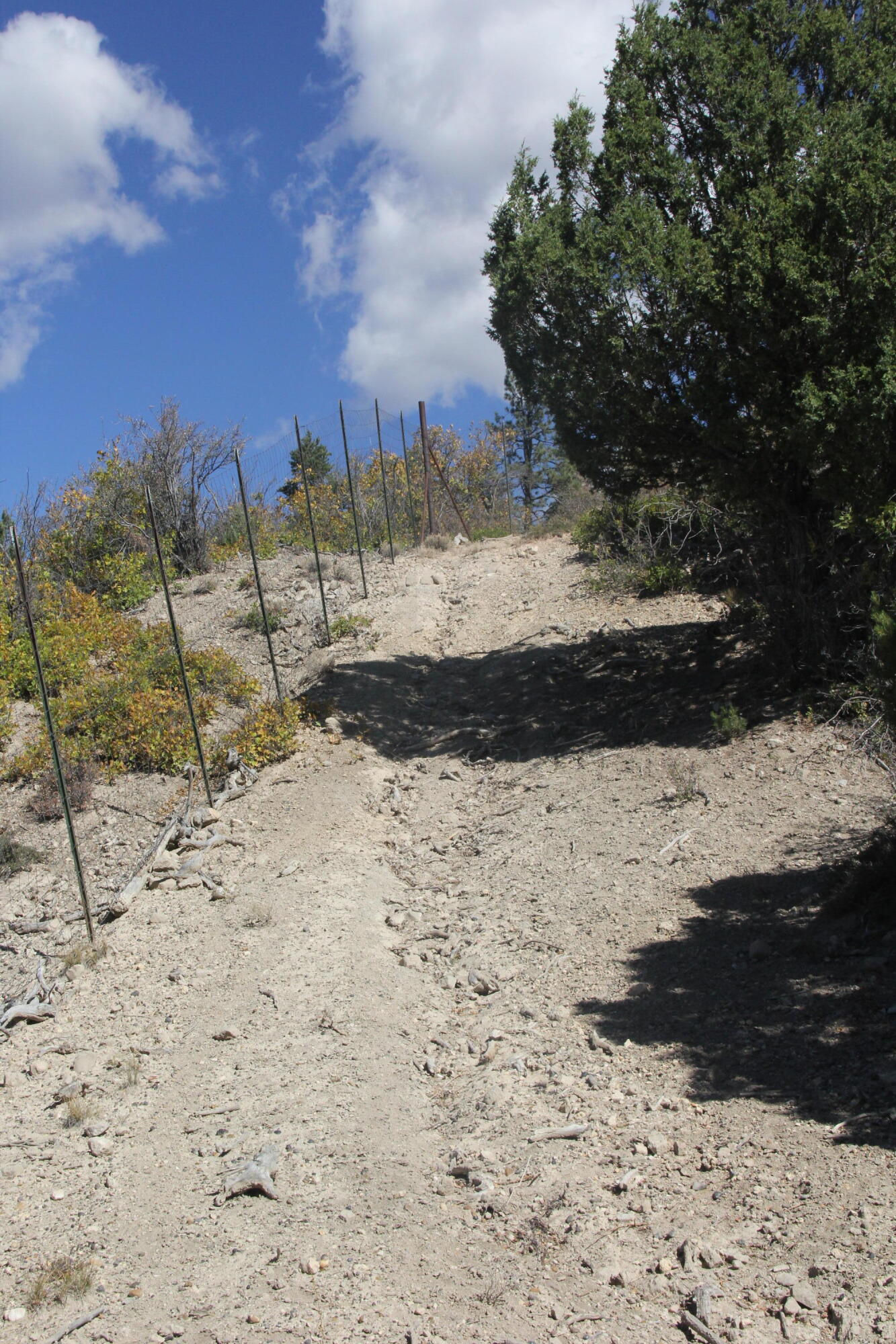 20.22 acres, Alton, photo 15 of 24