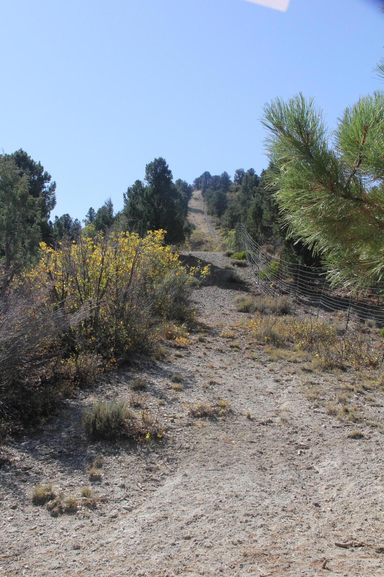 20.22 acres, Alton, photo 14 of 24