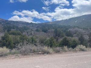714 E Cedar Highlands DR, Cedar City, photo 3