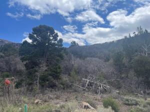714 E Cedar Highlands DR, Cedar City, photo 5 of 10