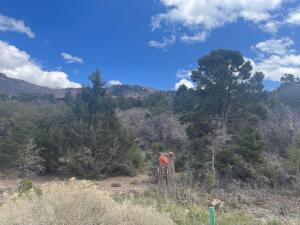 714 E Cedar Highlands DR, Cedar City, photo 6 of 10