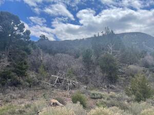 714 E Cedar Highlands DR, Cedar City, photo 7 of 10