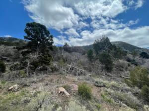 714 E Cedar Highlands DR, Cedar City, photo 8 of 10
